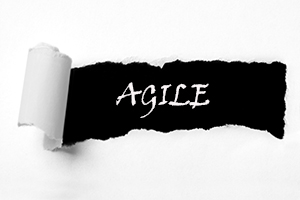Torn paper hole agile